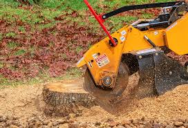 Best Tree Risk Assessment  in Reedley, CA